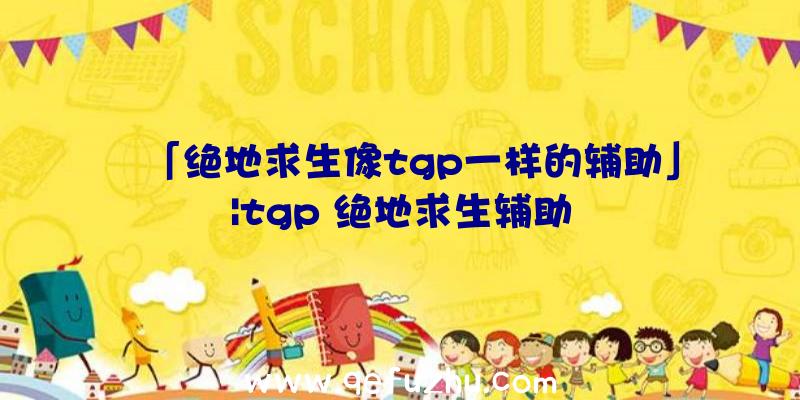 「绝地求生像tgp一样的辅助」|tgp